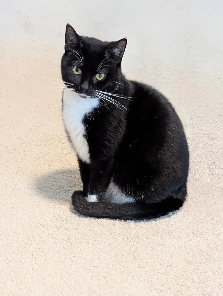 Meghan Grace thumbnail 3