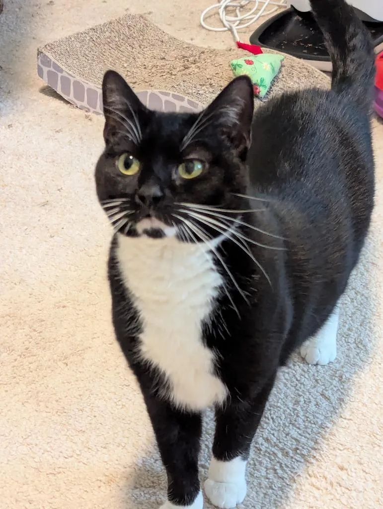 Meghan Grace thumbnail 4