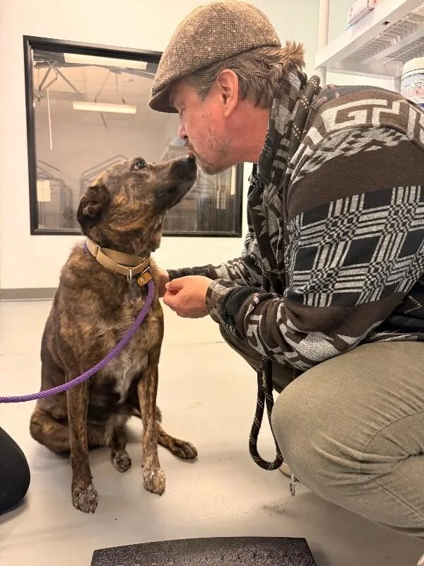 Mary Puppins thumbnail 2