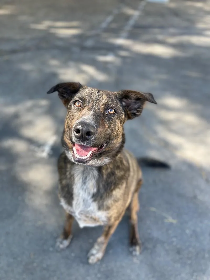 Mary Puppins thumbnail 3