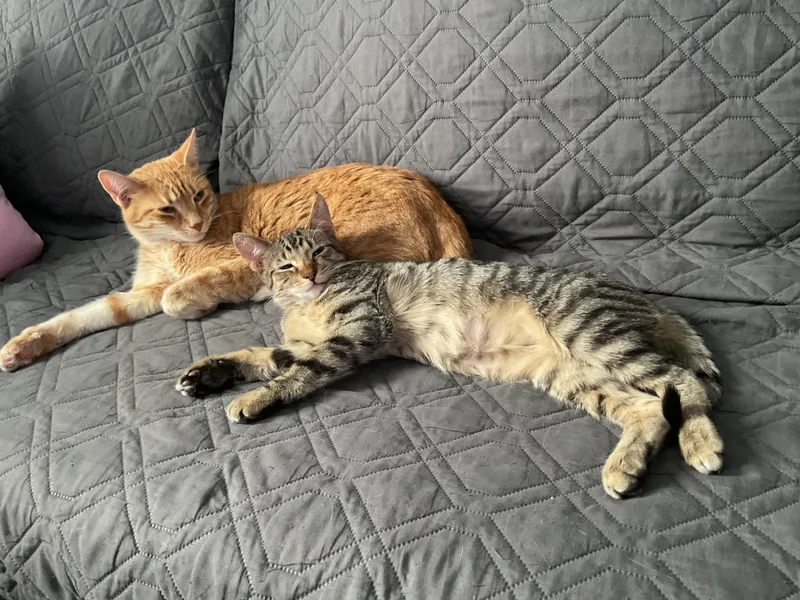 Scarecrow thumbnail 5