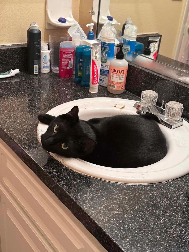 Salem & Oj thumbnail 2