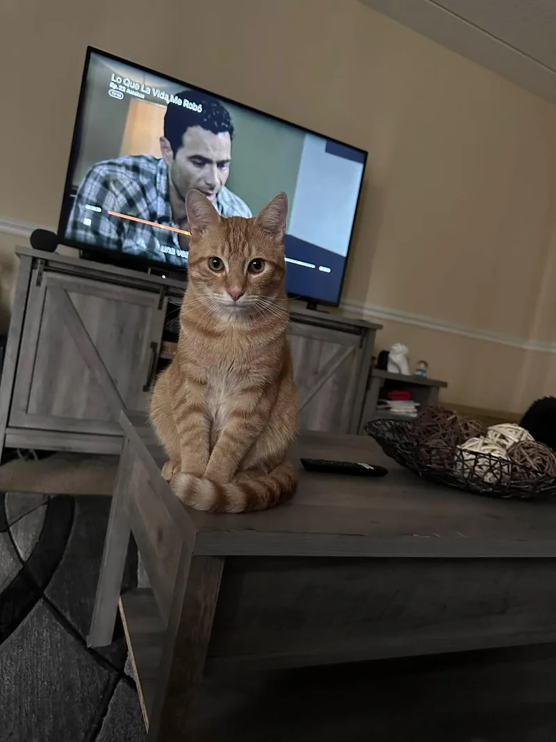 Salem & Oj thumbnail 3