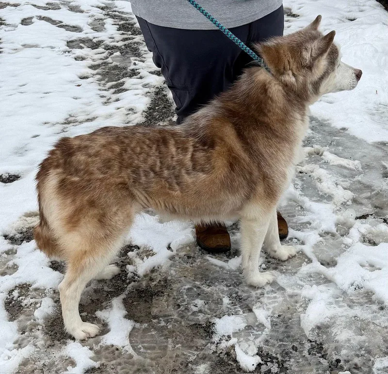 Lucy: Bonded With Kira thumbnail 2