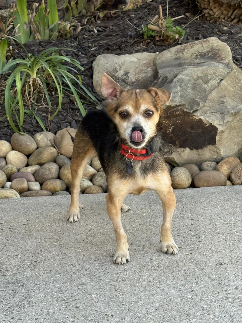 Chase Holden thumbnail 2