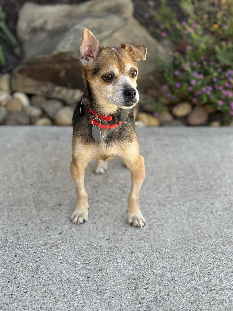 Chase Holden thumbnail 3