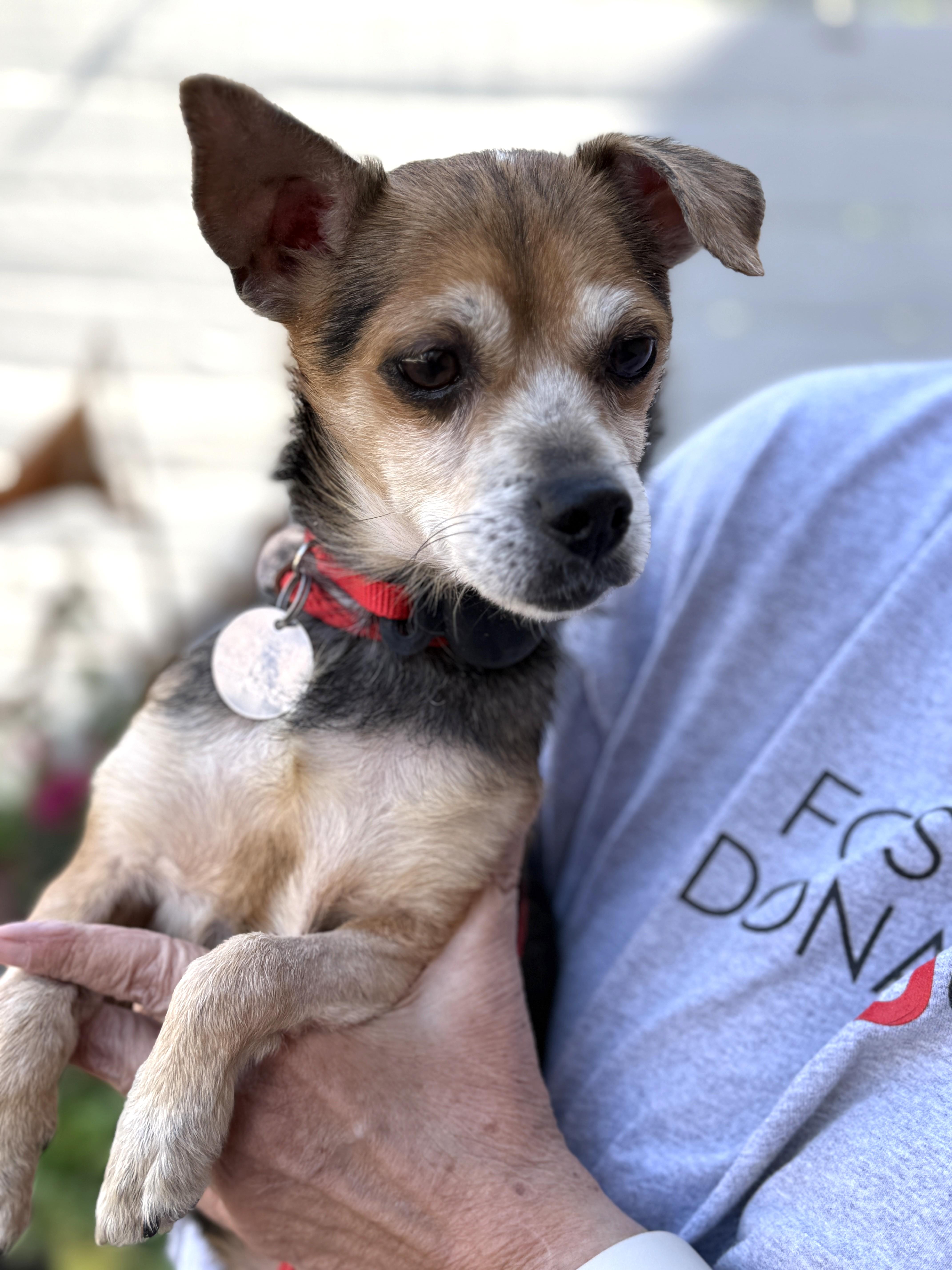 Chase Holden thumbnail 4