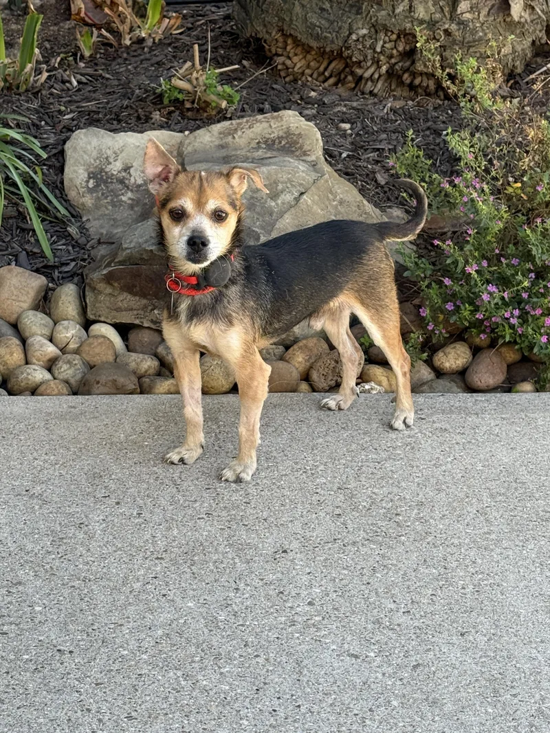 Chase Holden thumbnail 6