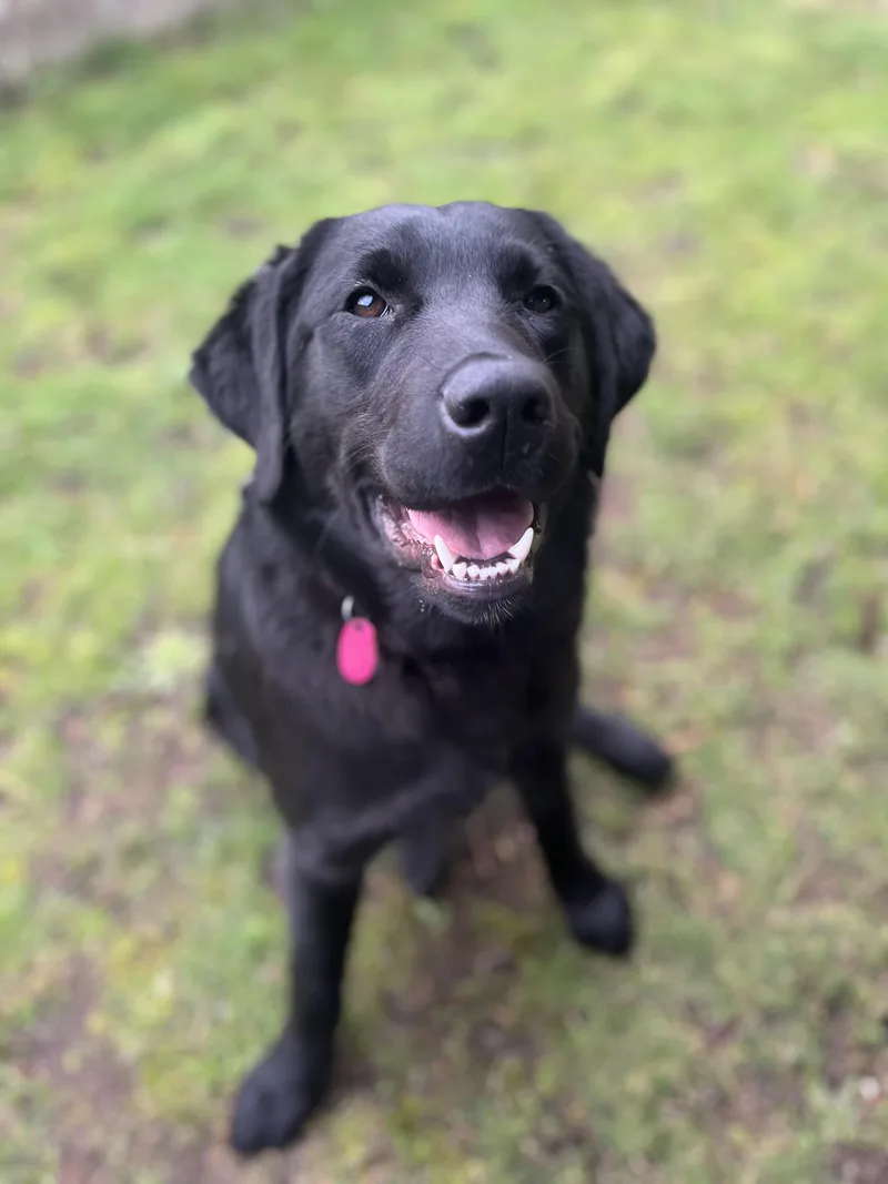 Sunflowerbeautiful Sweetheart!