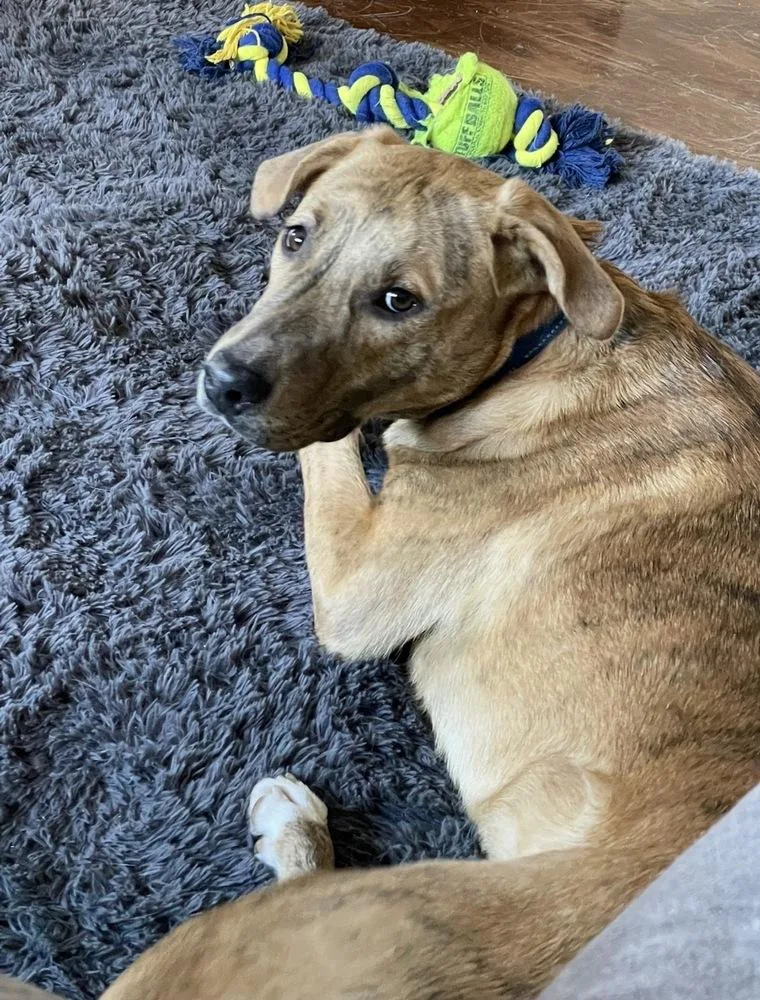 Tucker Graduate thumbnail 2