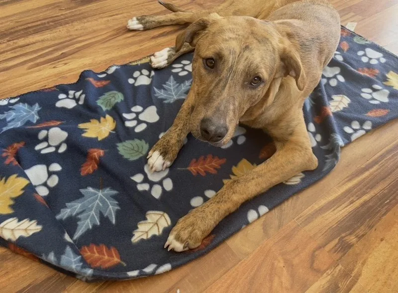 Tucker Graduate thumbnail 3