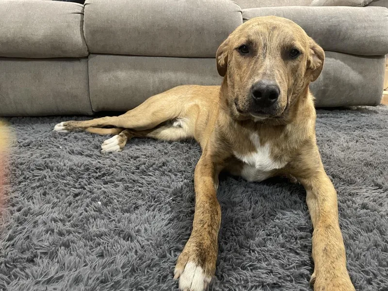 Tucker Graduate thumbnail 4