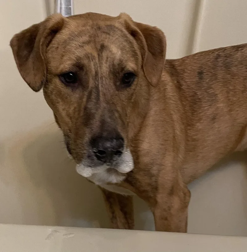 Tucker Graduate thumbnail 5