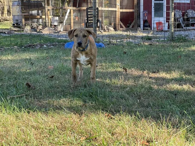 Tucker Graduate thumbnail 6