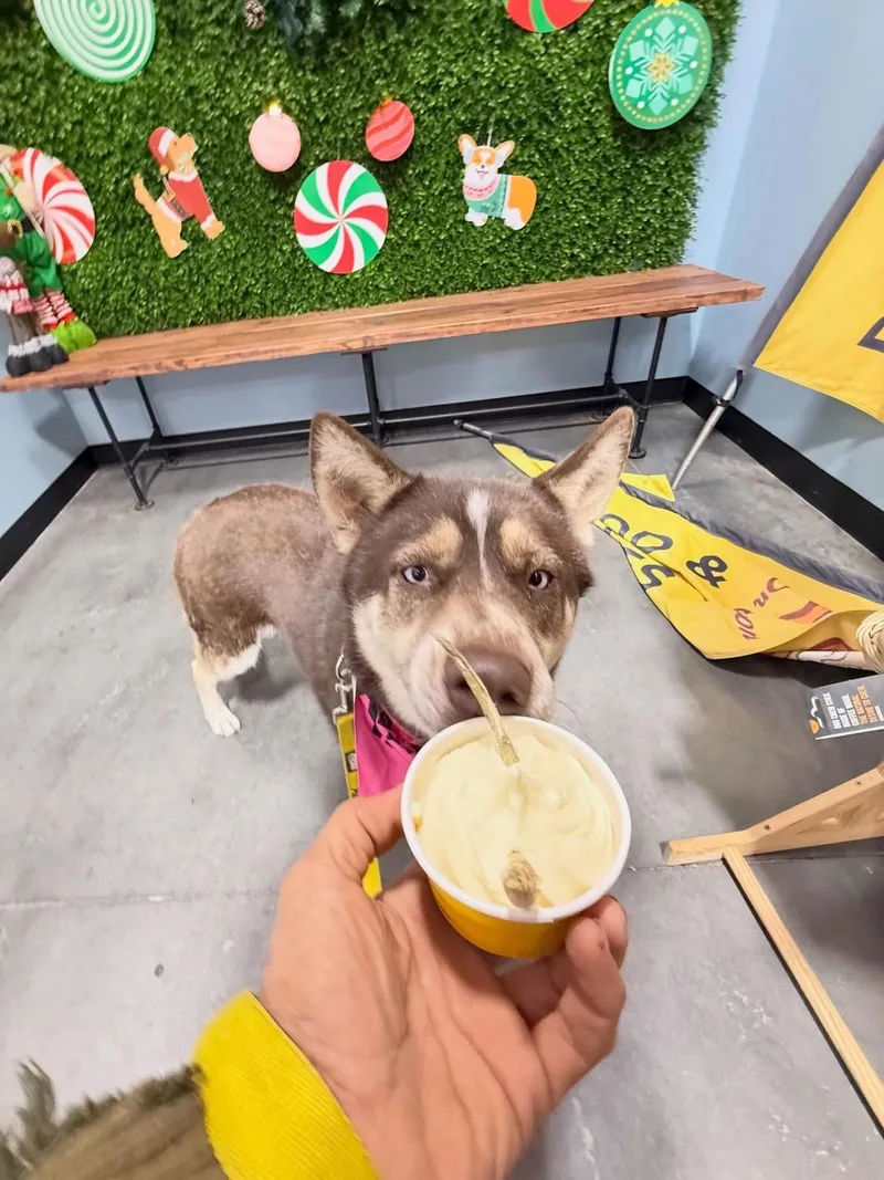 Rubarbara thumbnail 5