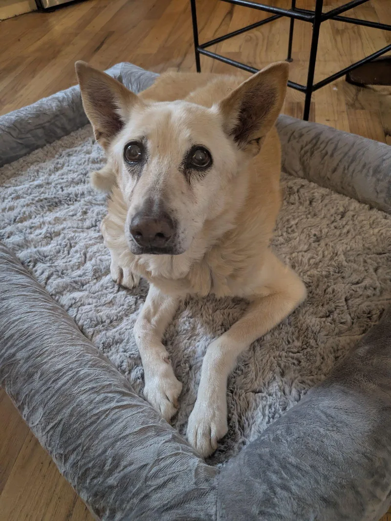 Miss Mayze thumbnail 2