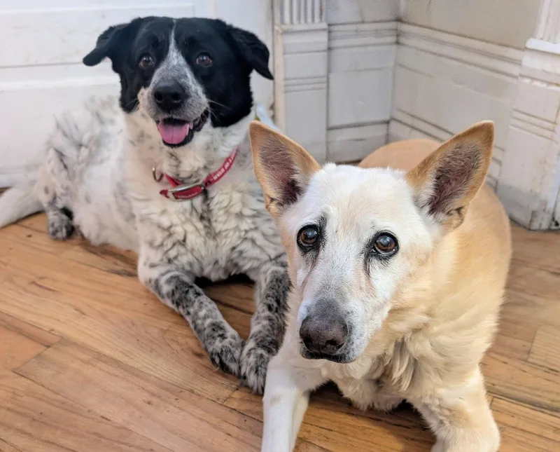 Miss Mayze thumbnail 3