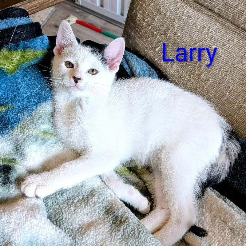Larry