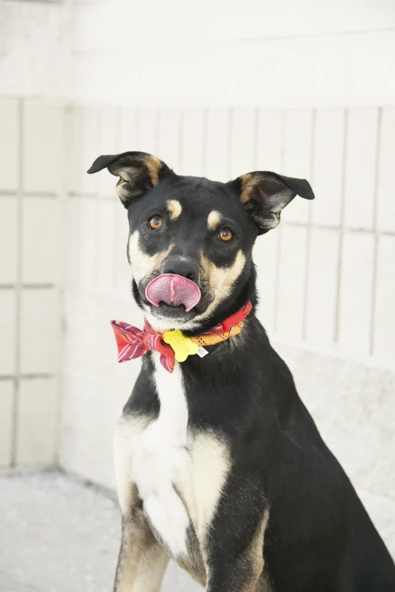 Herkimer thumbnail 2