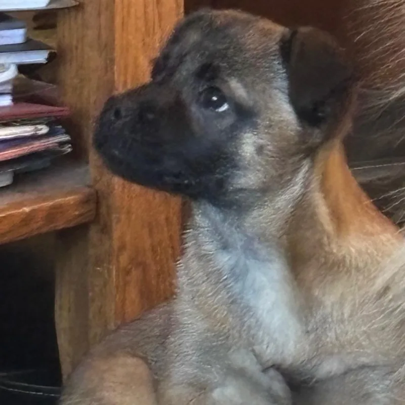 Florence thumbnail 2