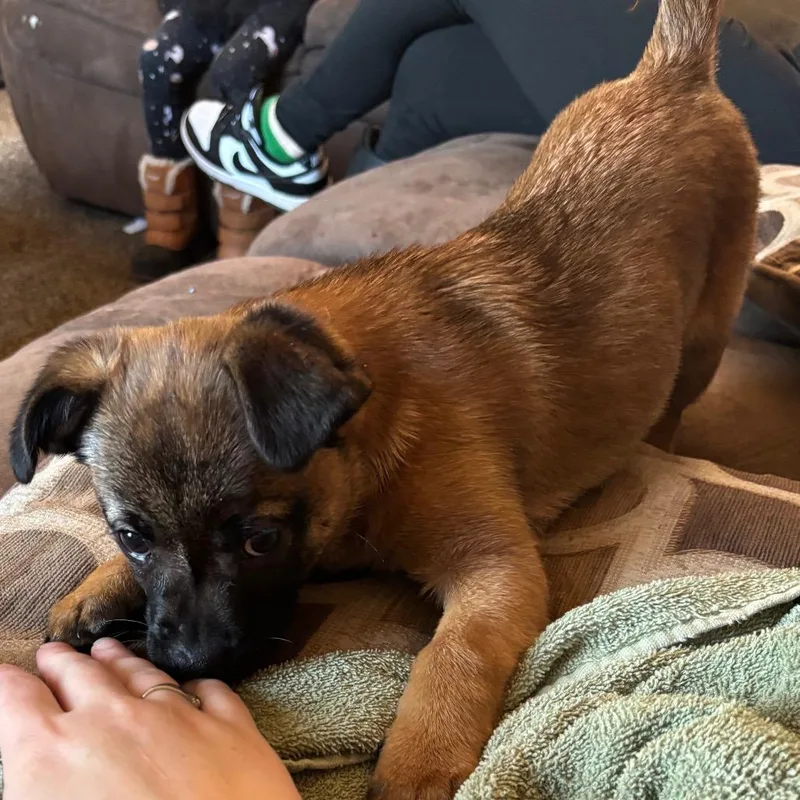 Florence thumbnail 3