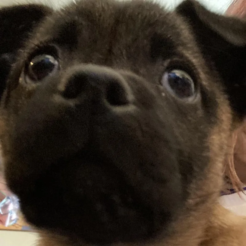 Florence thumbnail 5