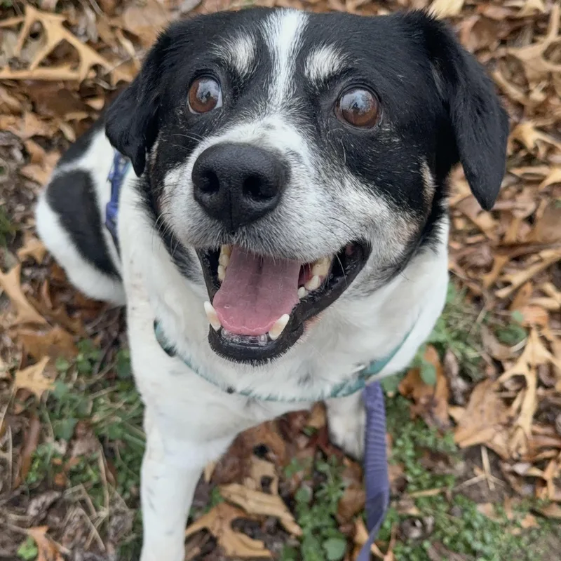 George Bailey thumbnail 2