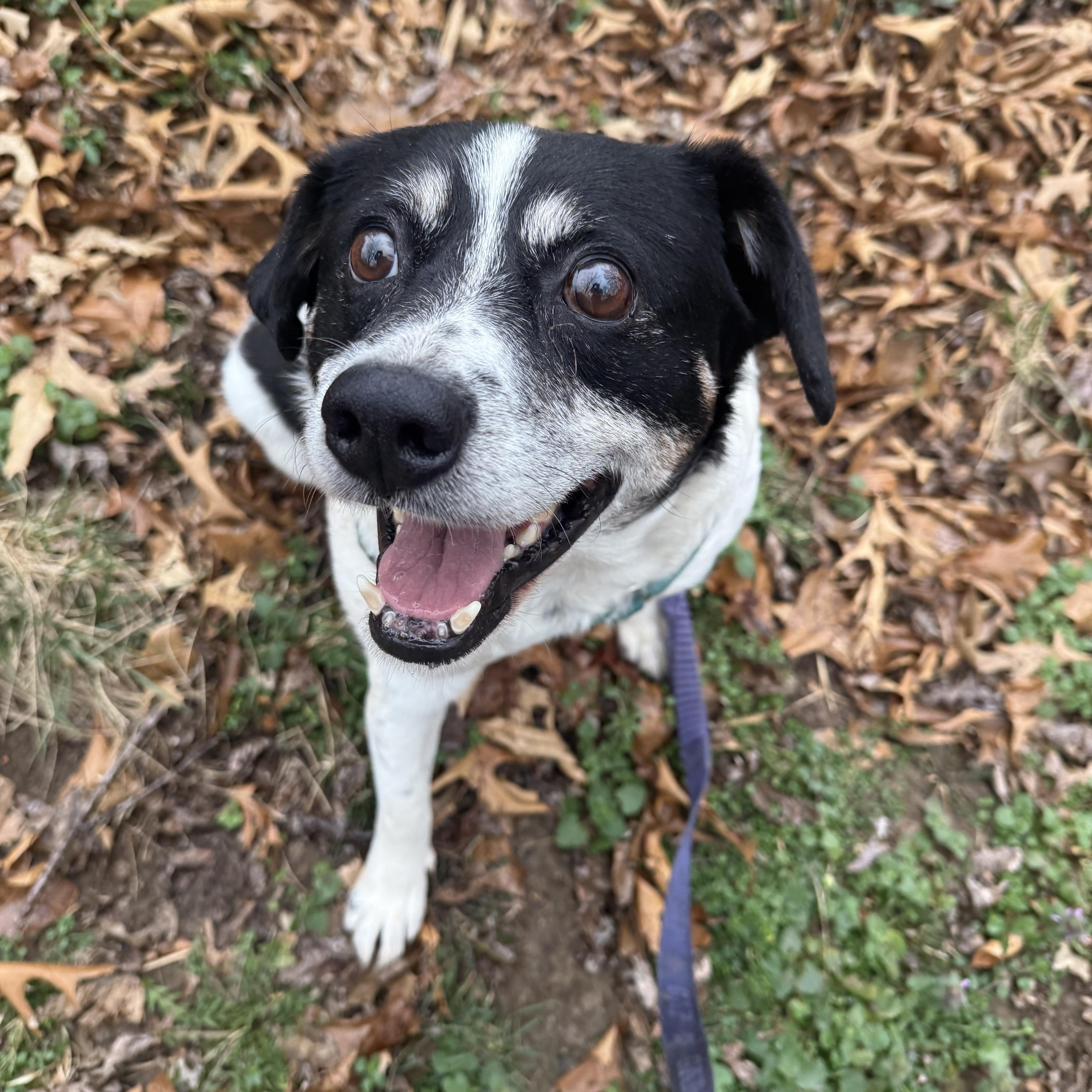 George Bailey thumbnail 4