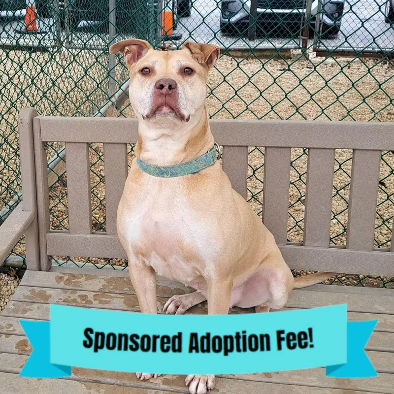 Scarlett thumbnail 4