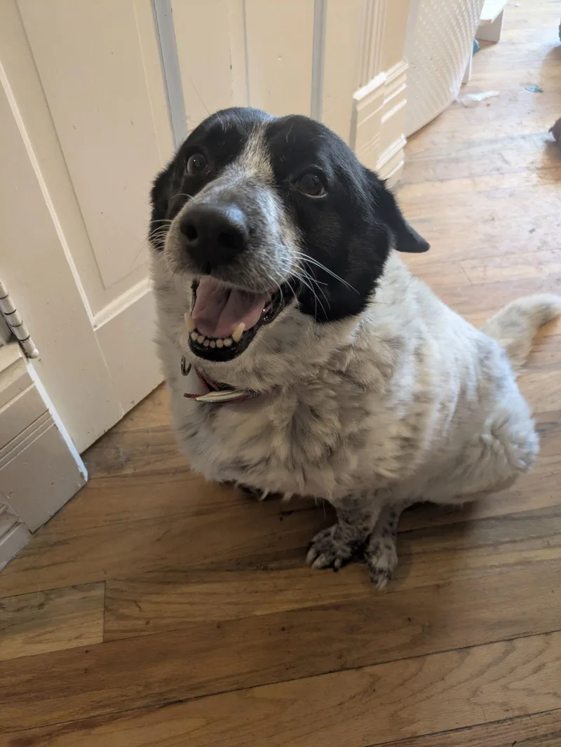 Serena Marie thumbnail 3