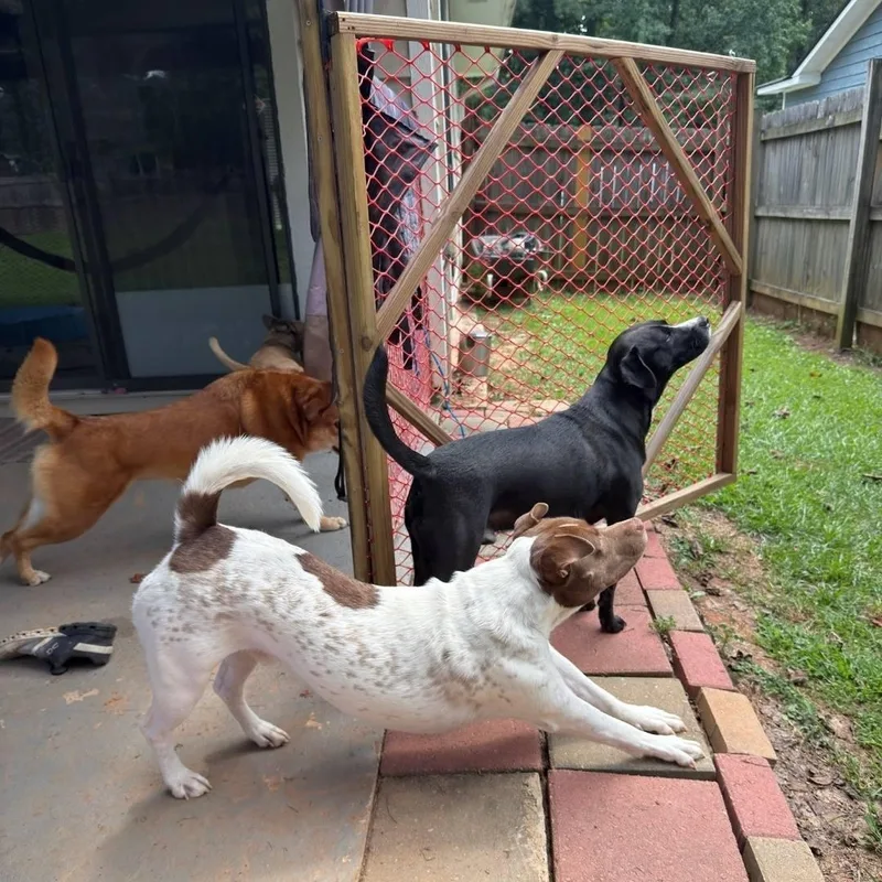 Mr. Spots  So thumbnail 2