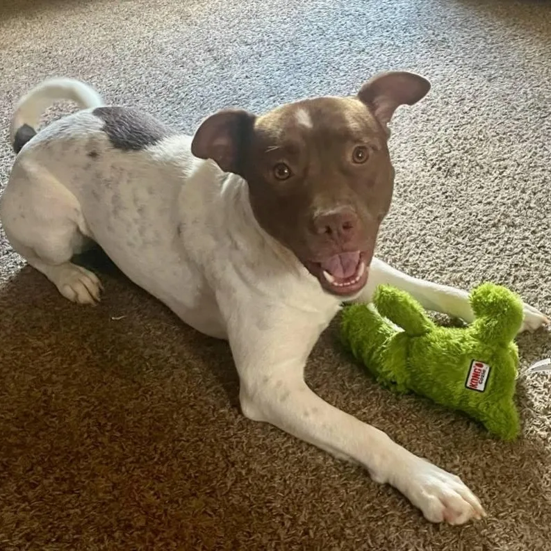 Mr. Spots  So thumbnail 3