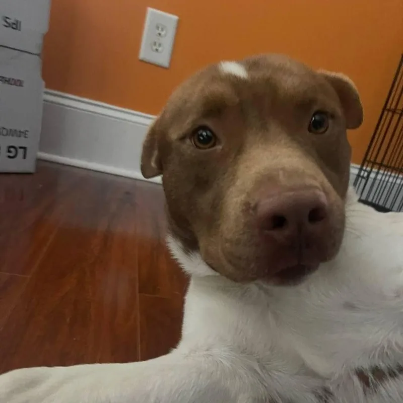 Mr. Spots  So thumbnail 4