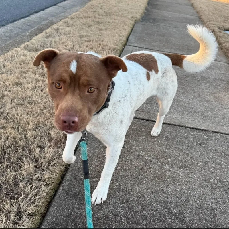 Mr. Spots  So thumbnail 5