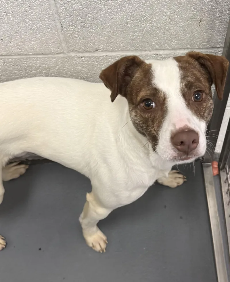 Zeke Stane thumbnail 2