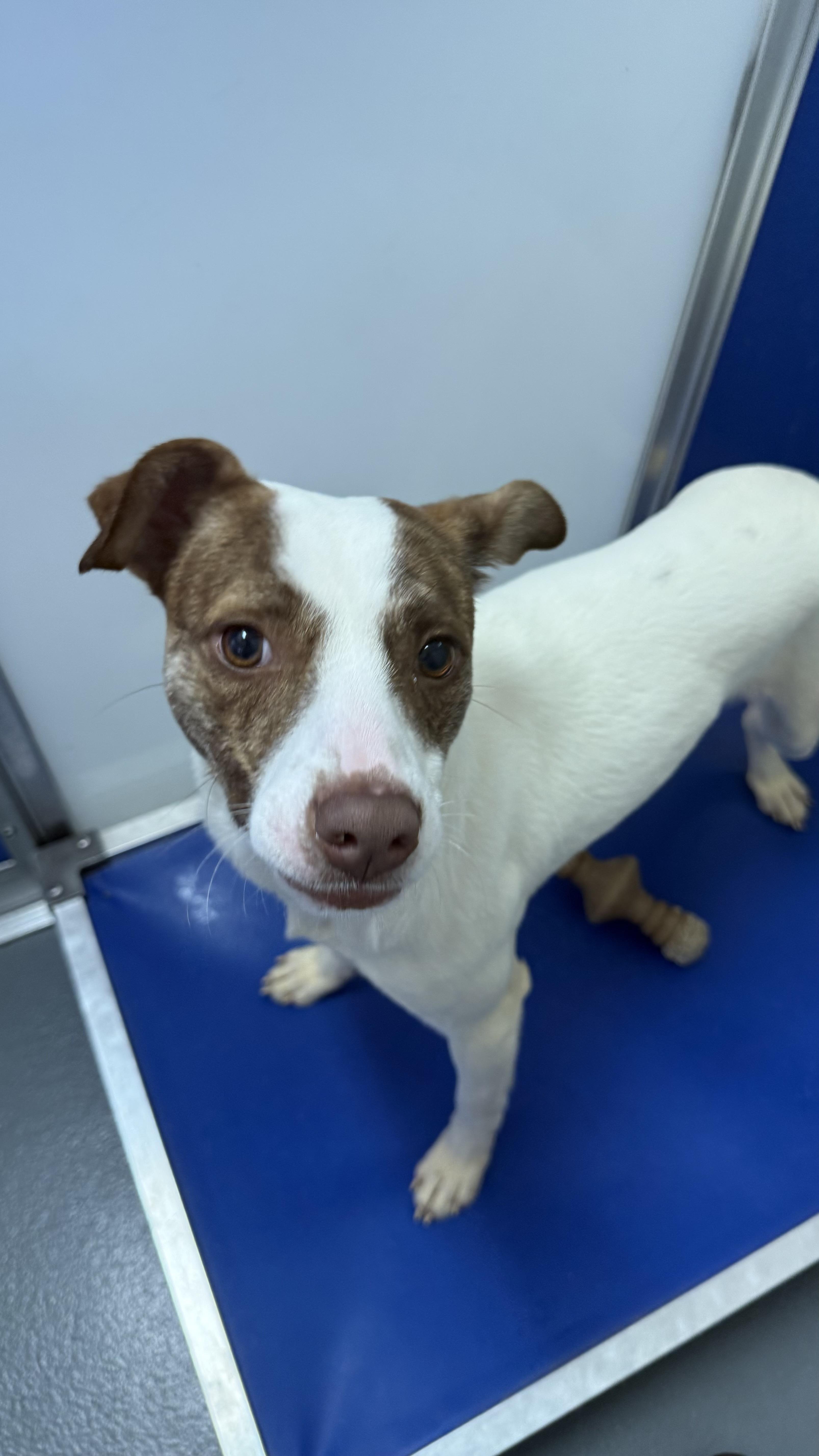 Zeke Stane thumbnail 3