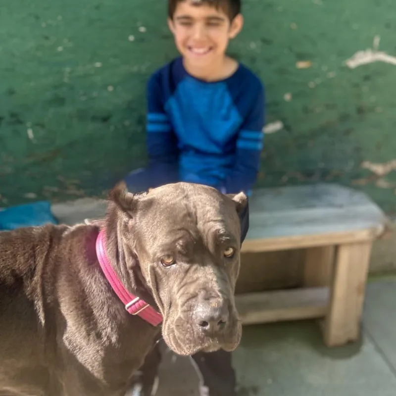 Breathless Mahoney thumbnail 4