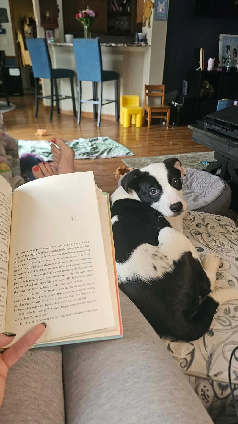 Fig Newton thumbnail 6