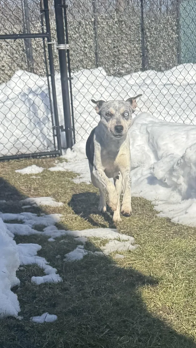 Mystique thumbnail 2