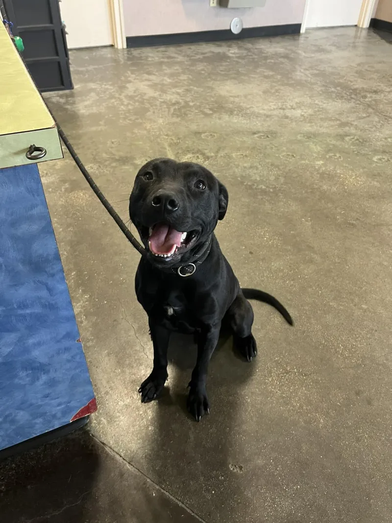 Guinness thumbnail 2