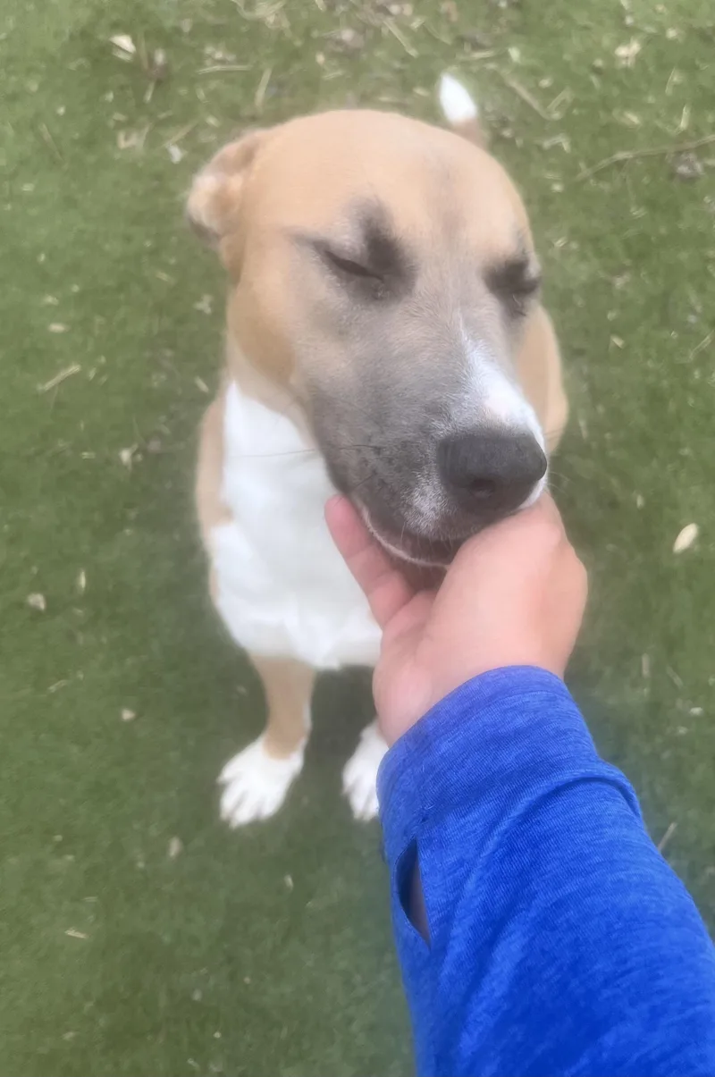 Goldie.! Miss Congeniality! thumbnail 2