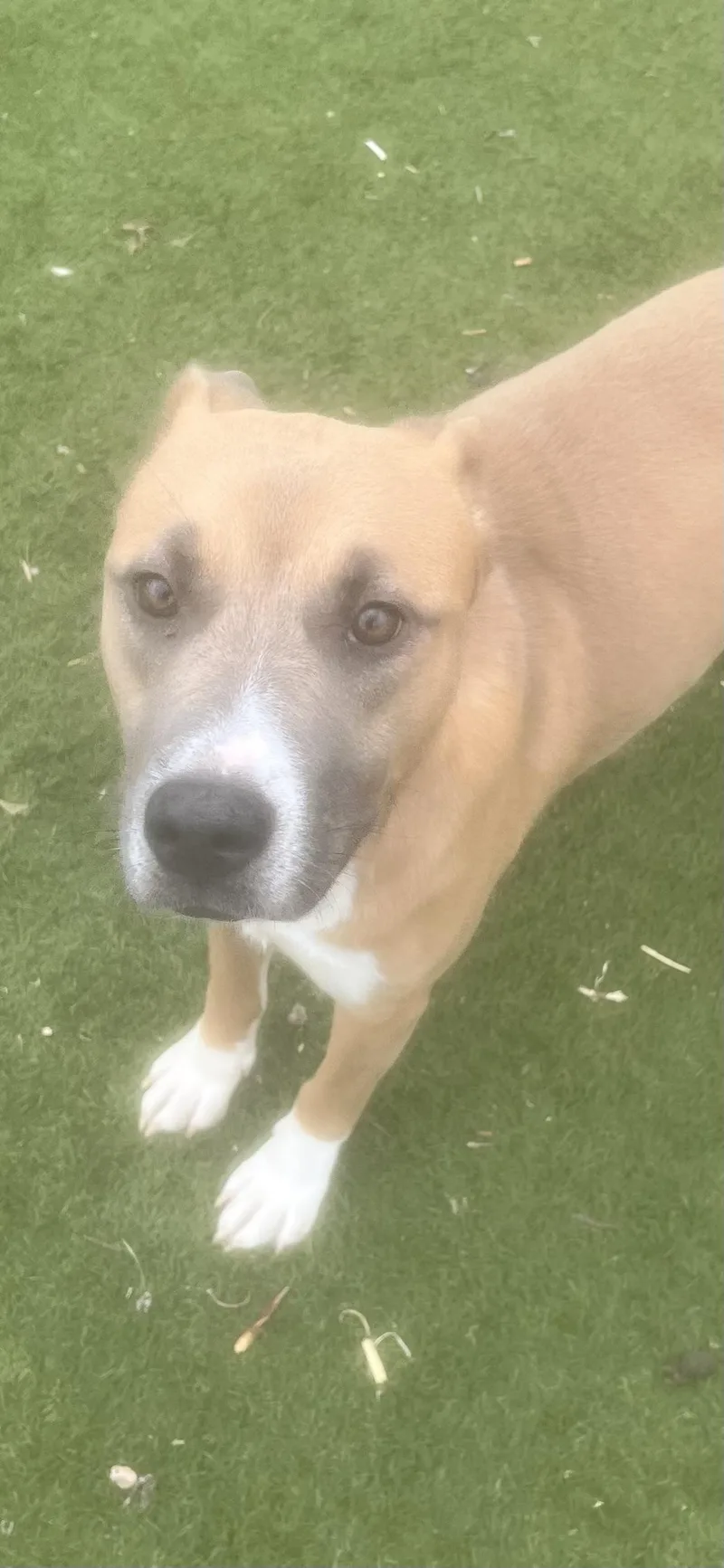 Goldie.! Miss Congeniality! thumbnail 3