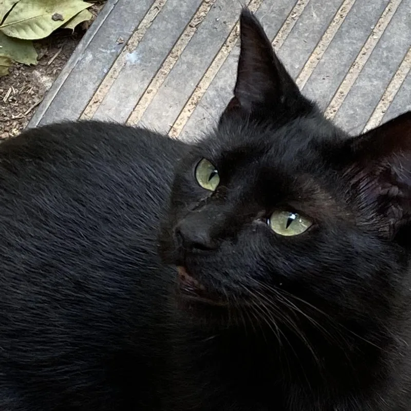 Sasha Arkansas thumbnail 3