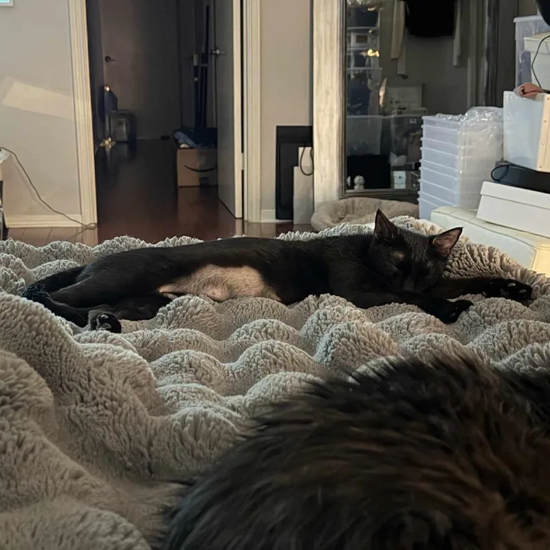 Mama May Houston thumbnail 2