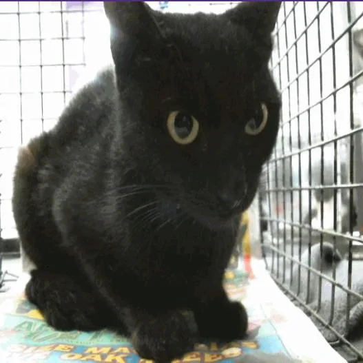 Mama May Houston thumbnail 3