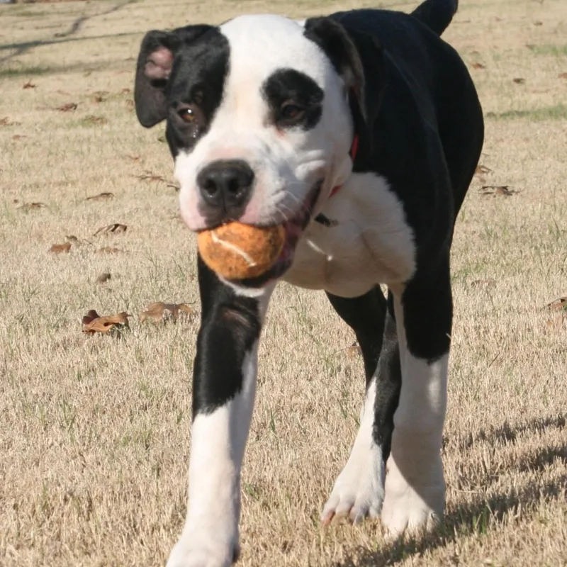 Hercules thumbnail 2