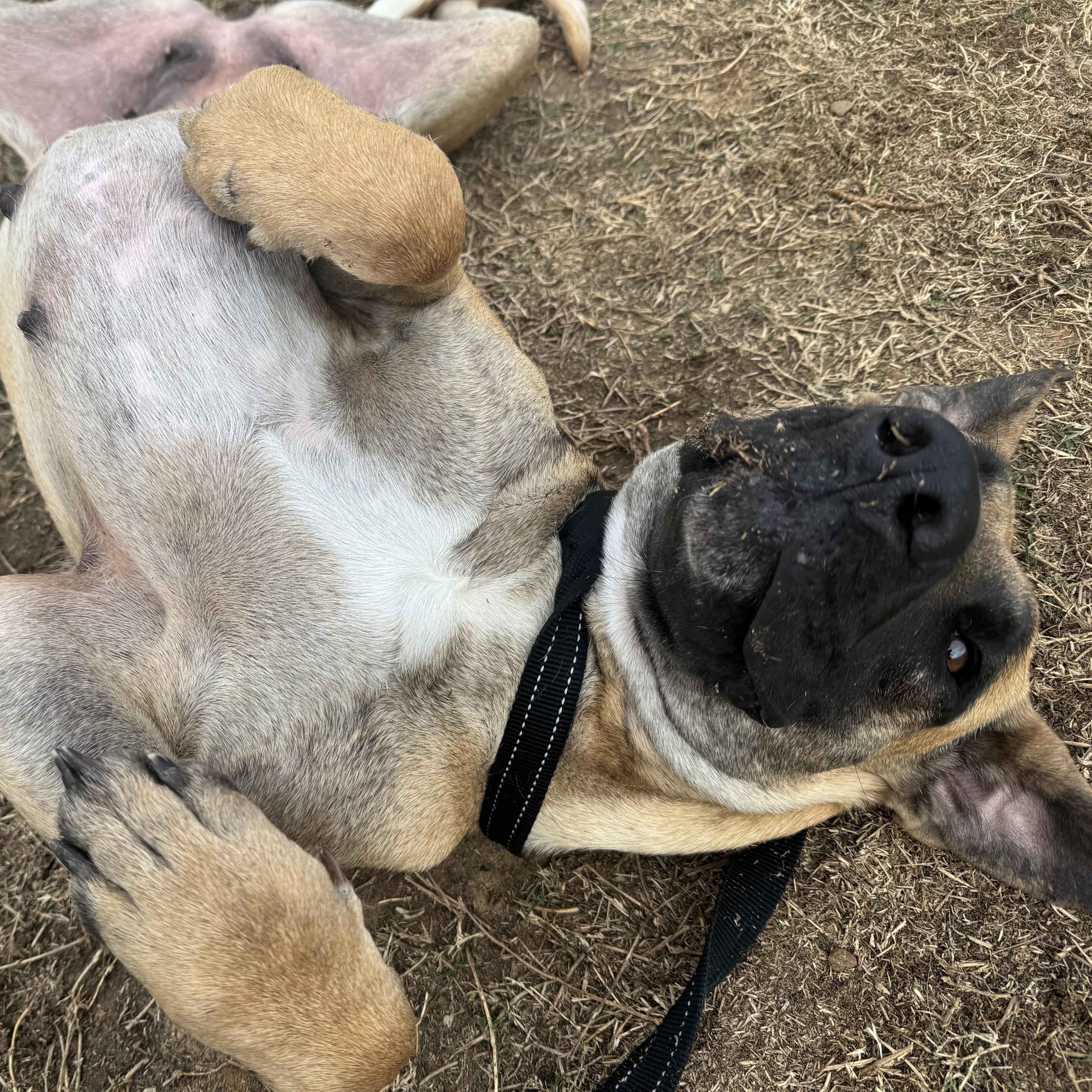 Katarina thumbnail 4