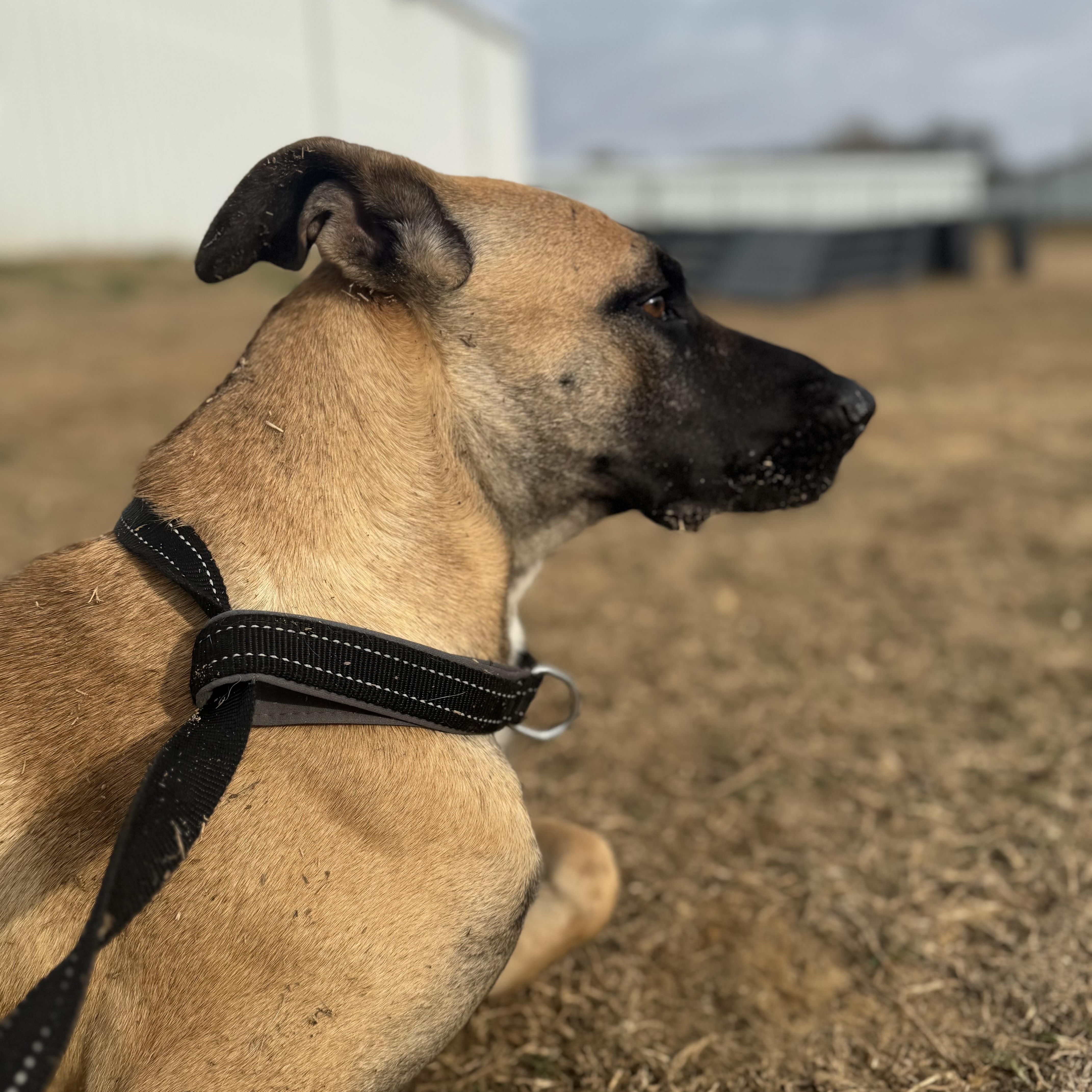 Katarina thumbnail 5