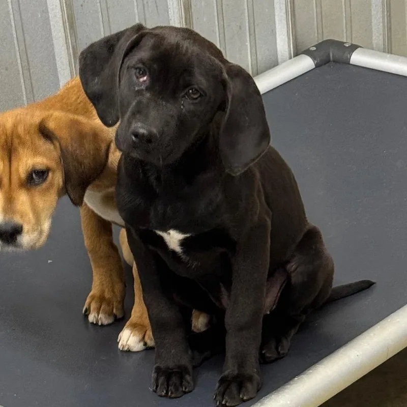 Monopoly thumbnail 2