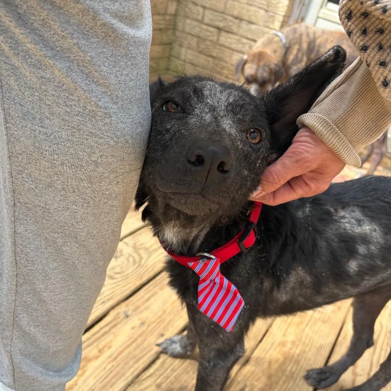 Rocky Road thumbnail 4